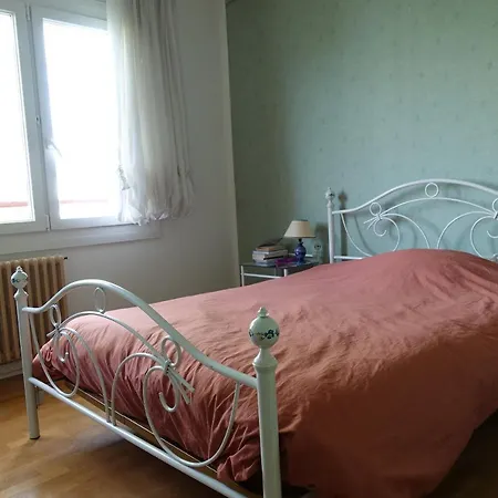 Maison Avec Jardin, Au Centre De Nancy, A 2 Pas De La Fac De Lettres Nancy