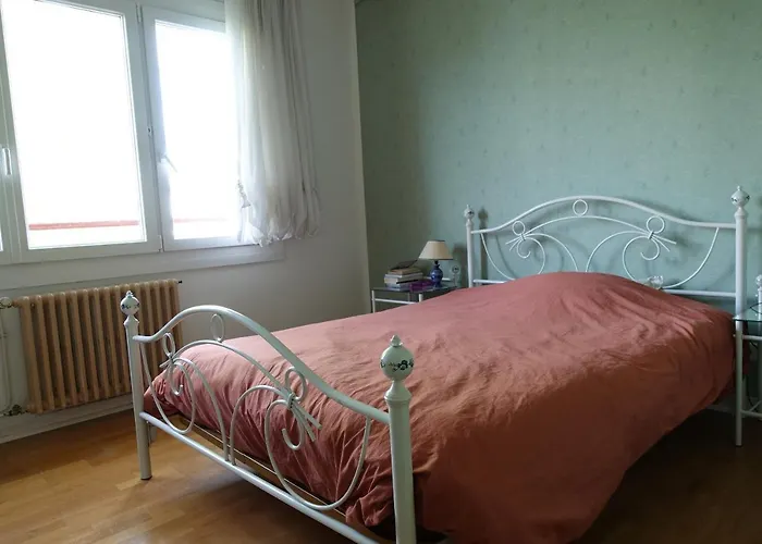 Maison Avec Jardin Au Centre De Avec Borne De Recharge Voiture Electrique Nancy